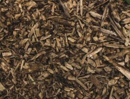 Mulching Basics: Protecting Your Tree’s Roots