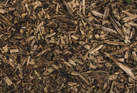 Mulch Tree - firewood lot