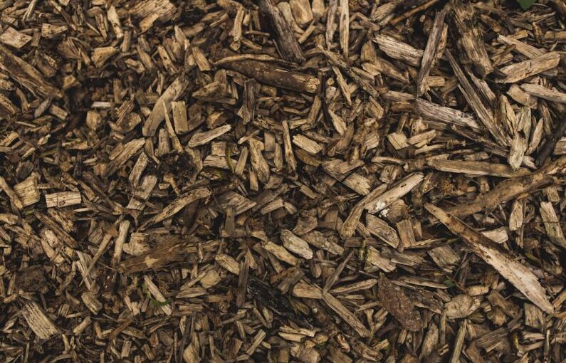 Mulch Tree - firewood lot
