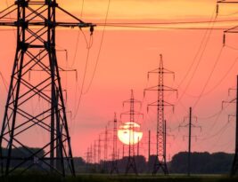 Dealing with Power Lines during Tree Service