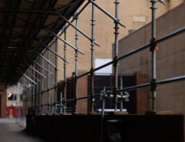 Height Safety in Tree Trimming and Pruning