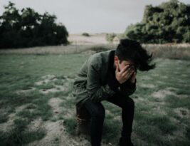 Identifying and Treating Common Tree Ailments
