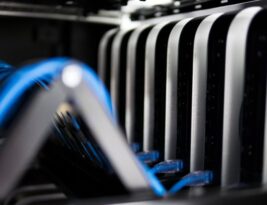 Diy Tree Support Systems: Cabling and Bracing