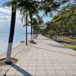 Tree Protection - a sidewalk with benches and palm trees along the water