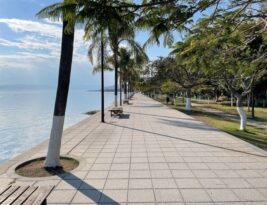 Safeguarding Trees from Animal Damage
