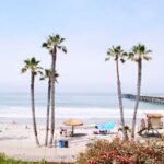 Tree Guard - people on beach during daytime