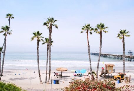 Tree Guard - people on beach during daytime