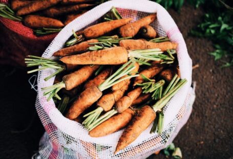 Soil Testing - ripe carrots inside white net sack