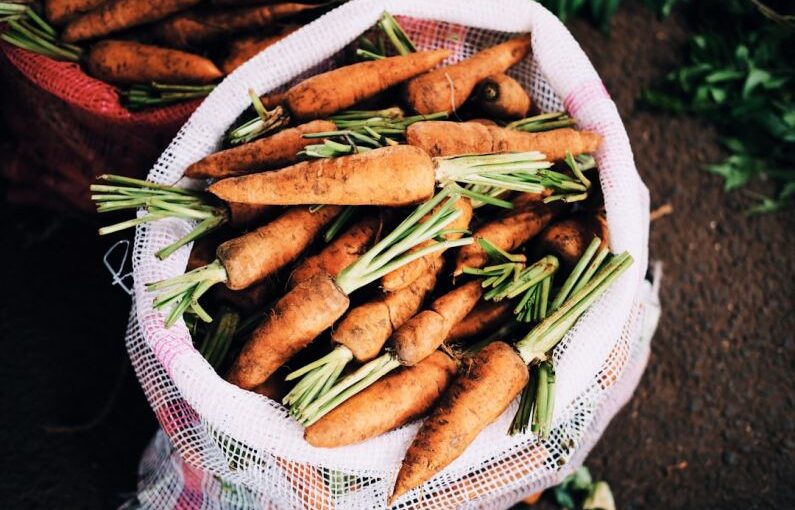 Soil Testing - ripe carrots inside white net sack