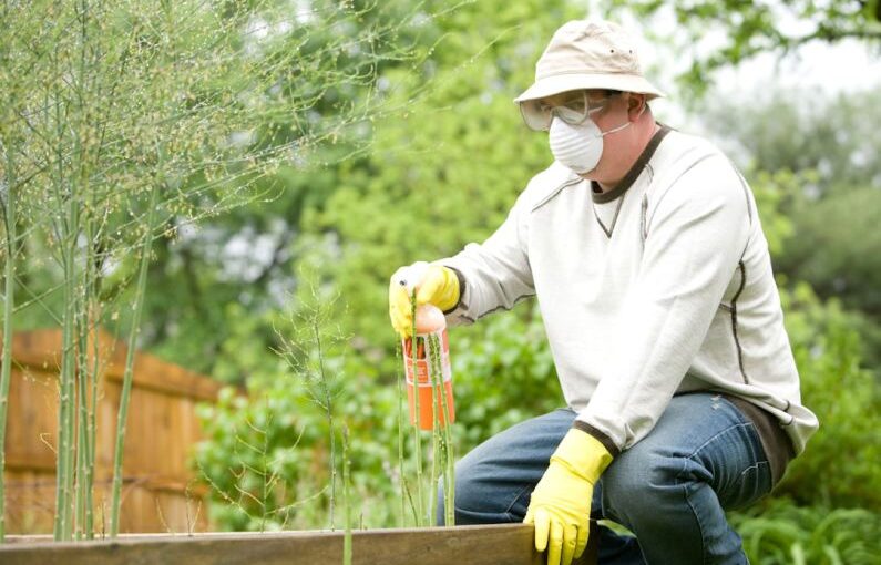 Organic Fertilizer - man in white long sleeve shirt and blue denim jeans sitting on brown wooden fence during