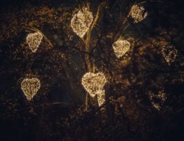 Diy Tree Decorations and Lighting: Safety Tips