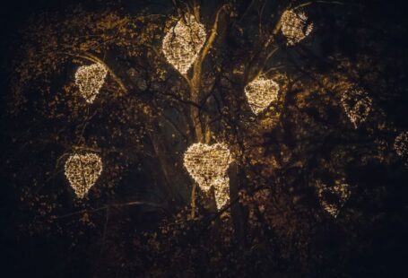 Tree Decorations - a tree with lights