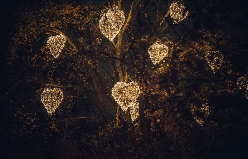 Tree Decorations - a tree with lights