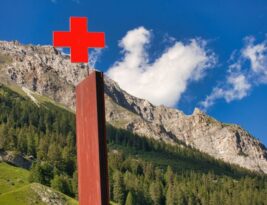 Basic Tree First Aid: Handling Minor Damages