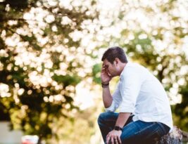 Identifying Signs of Tree Stress and How to Respond