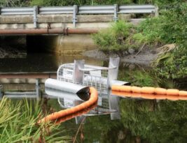 The Importance of Cleaning up after Pruning