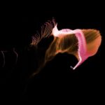 Organic Solutions - pink and white wings illustration