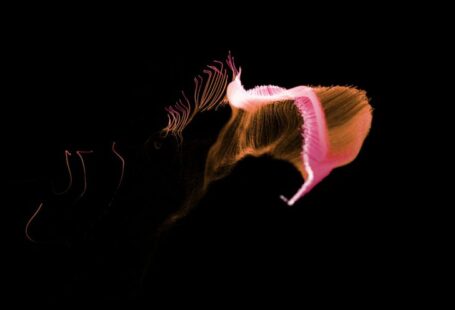 Organic Solutions - pink and white wings illustration