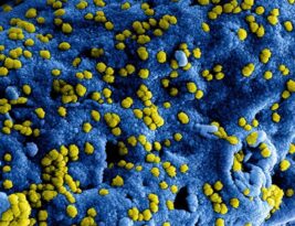 Preventing Fungal Infections in Trees