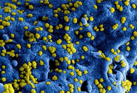 Fungal Infection - yellow flower petals on blue textile