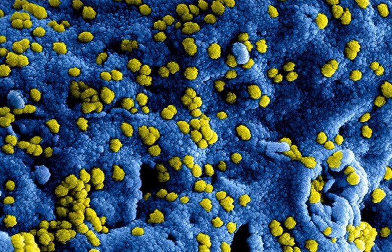 Fungal Infection - yellow flower petals on blue textile