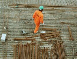 How to Protect Trees during Construction