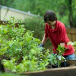 Soil Health - boy in red crew neck t-shirt and blue denim jeans sitting on brown wooden bench