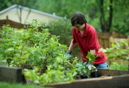 Soil Health - boy in red crew neck t-shirt and blue denim jeans sitting on brown wooden bench