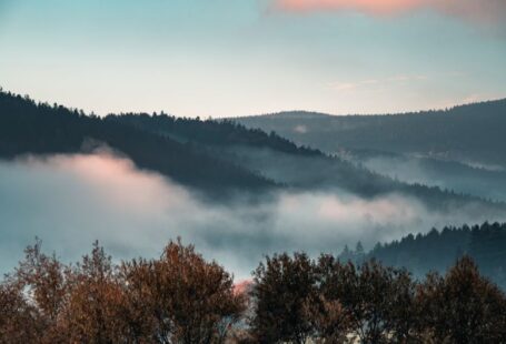 Landscape Planning - a view of a foggy mountain with trees in the foreground