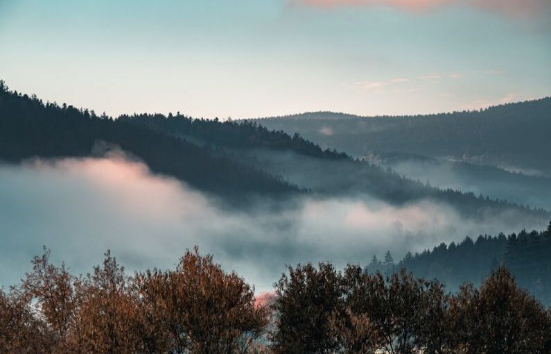 Landscape Planning - a view of a foggy mountain with trees in the foreground