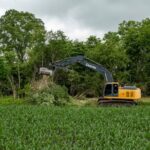 Tree Removal - yellow and black heavy equipment on green grass field during daytime