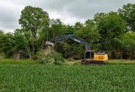 Tree Removal - yellow and black heavy equipment on green grass field during daytime