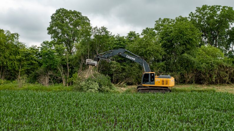 Tree Removal - yellow and black heavy equipment on green grass field during daytime