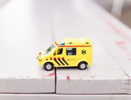 Handling Emergency Tree Removal Safely