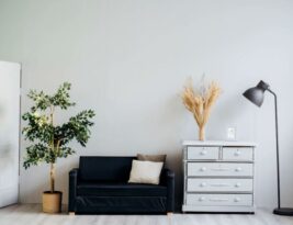 The Benefits of Regular Tree Inspections