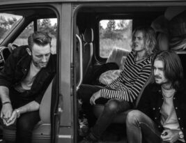 Alternate Solutions to Tree Removal