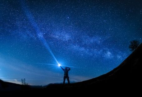 Replanting Guide - silhouette of man holding flashlight