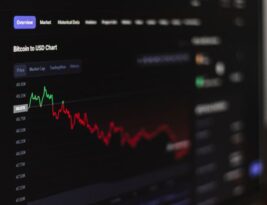 Stump Grinding Vs. Stump Removal: Pros and Cons