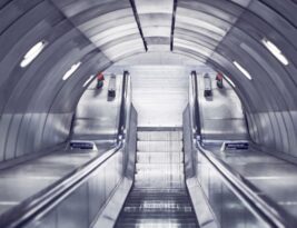 Dealing with Underground Utilities during Stump Grinding