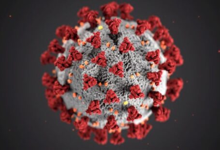 Disease Control - coronavirus