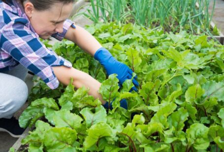 Yard Preparation - a woman kneeling down in a garden with lots of green plants