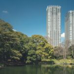 Urban Trees - green trees near body of water during daytime