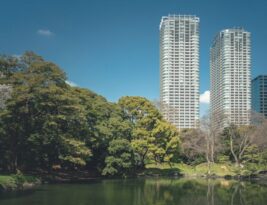 Trees That Thrive in Urban Environments