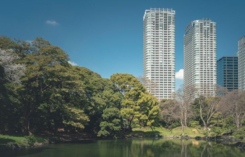 Urban Trees - green trees near body of water during daytime