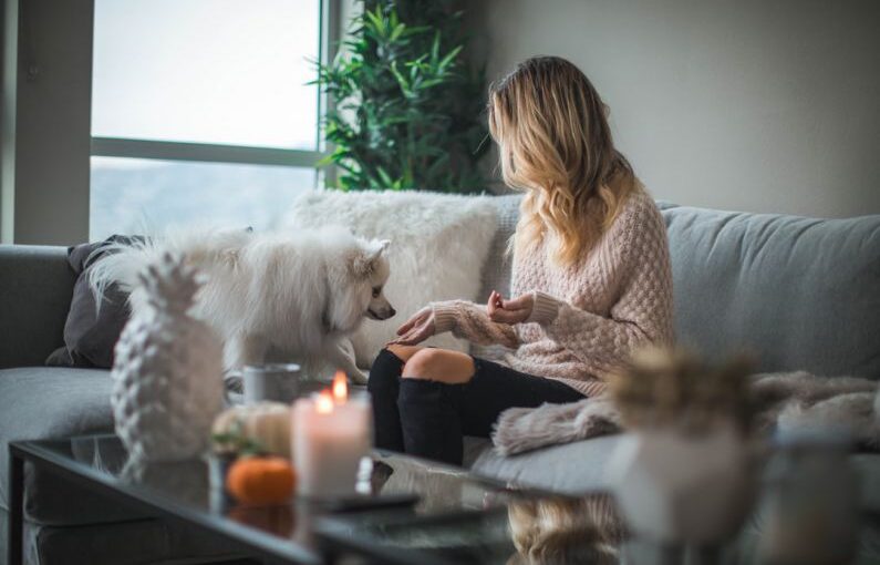 New Tree Care - woman sitting on sofa while holding food for dog