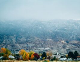 Benefits of Native Trees in Your Garden