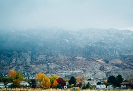 Native Trees - tall trees in front of rock formation