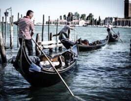 Watering Your Trees: How Much and How Often