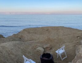 Soil Amendments for Healthier Trees