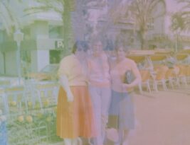 Avoiding Common Mistakes in Tree Planting